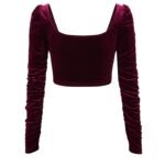 sexy scoop neck velvet crop blouse