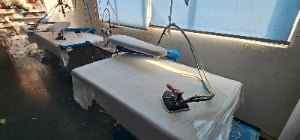 Minimalist Chic: Women’s Clothing Factory Customization for Timeless, Sleek Style